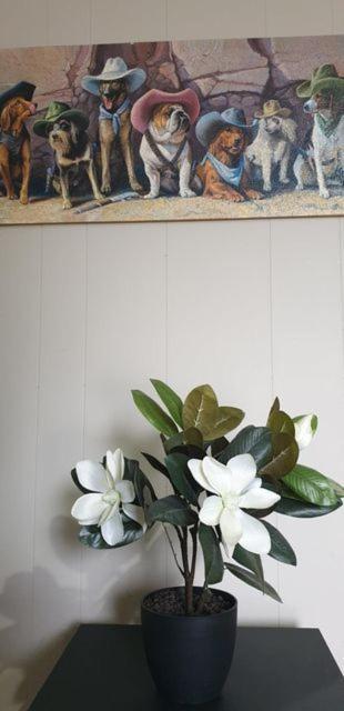 Smerdon Lodge Motel Horsham Luaran gambar