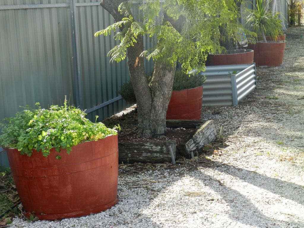 Smerdon Lodge Motel Horsham Luaran gambar
