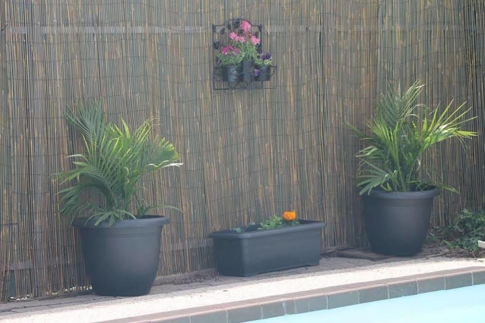 Smerdon Lodge Motel Horsham Luaran gambar
